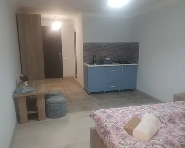 საოჯახო სახლი ბორჯომში