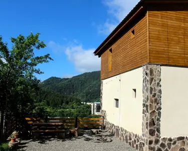 კოტეჯი ბორჯომში