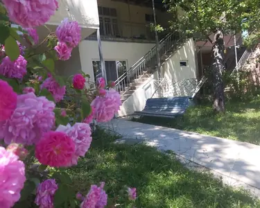 ქართული