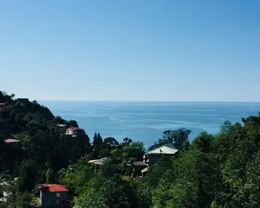 გიორგი კვარიათი პალას