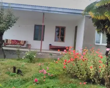 ნატალი