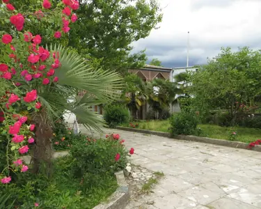 პანკისი თამილა