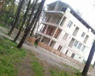 ახალი ტალღა